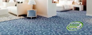 Hotel and apartment building carpet cleaning