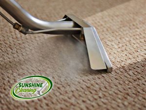Domestic Carpet Cleaning Great Dunmow
