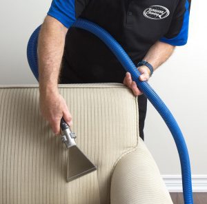 Upholstery Cleaning Standon